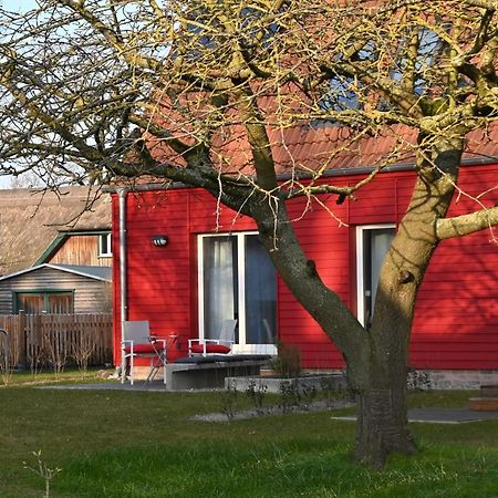 Ferienwohnung Rote Kate بون المظهر الخارجي الصورة